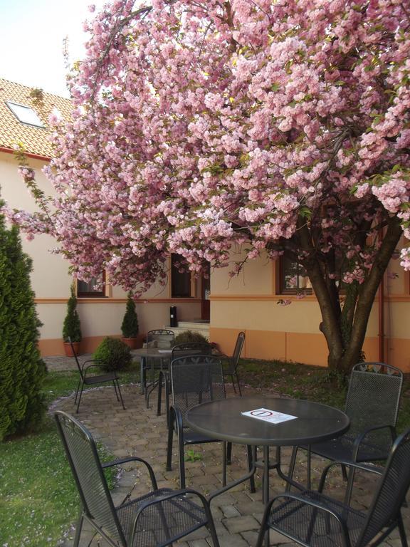 Mohács Pannon Hotel Bejelentkezes 20 Oraig, Check-In Until 20 O'Clock, Einchecken Bis 20 Uhr מראה חיצוני תמונה